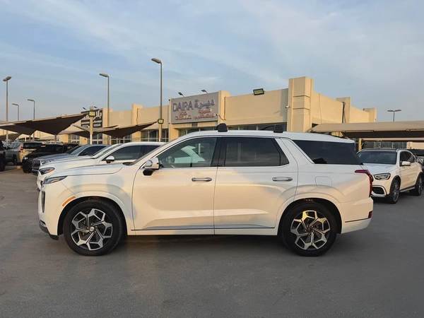 Oferr for Hyundai Palisade 2022 white Edition