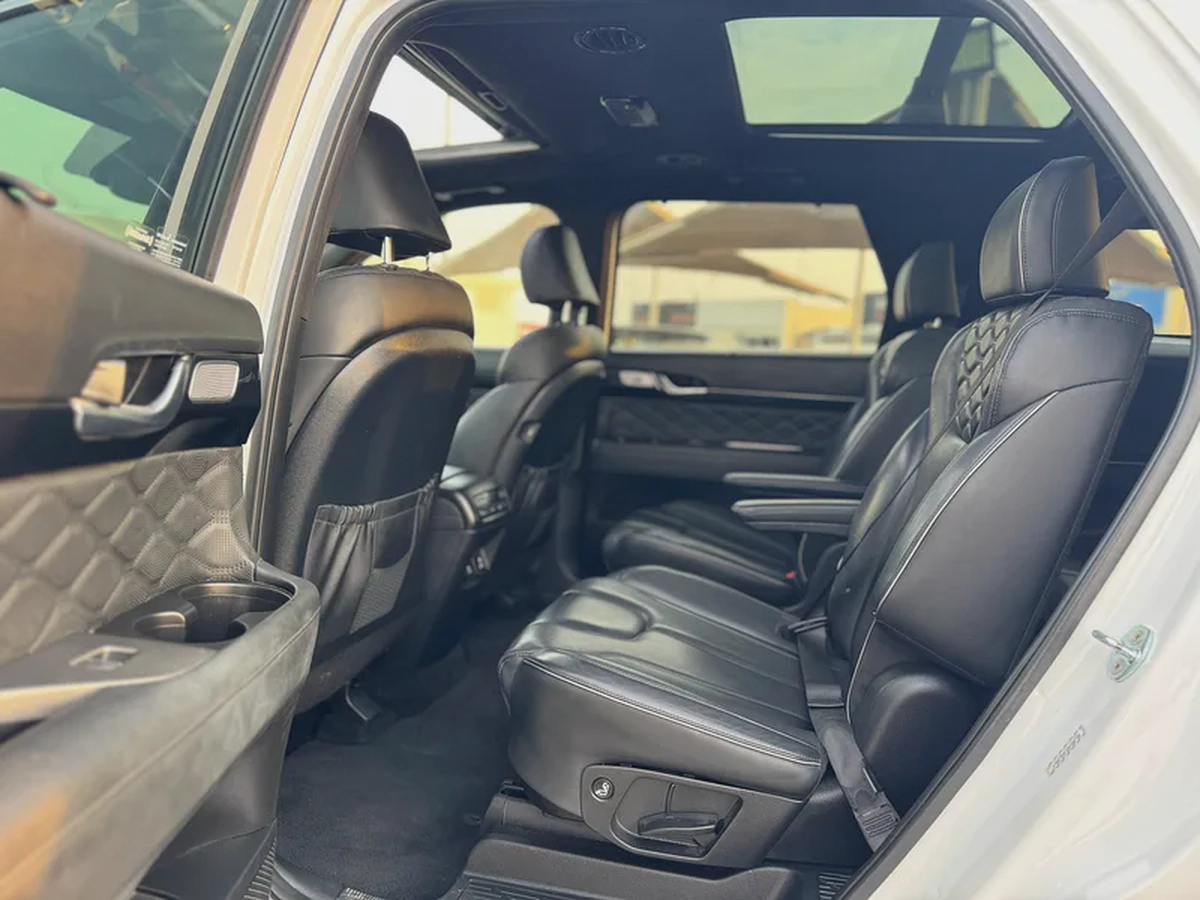 Oferr for Hyundai Palisade 2022 white Edition-10-10