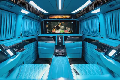 Brand New Mercedes-Benz V-Class V 300 2025 Luxury MPV MANSORY-10