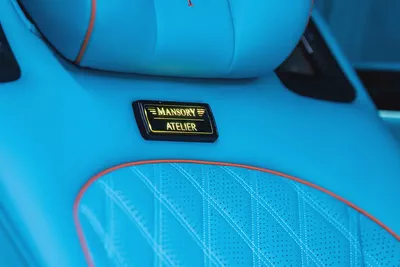 Brand New Mercedes-Benz V-Class V 300 2025 Luxury MPV MANSORY-13