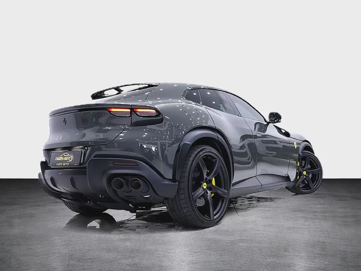 FERRARI PUROSANGUE - CARBON PACKAGE IN SPECIAL GRIGIO GRAY-3-3