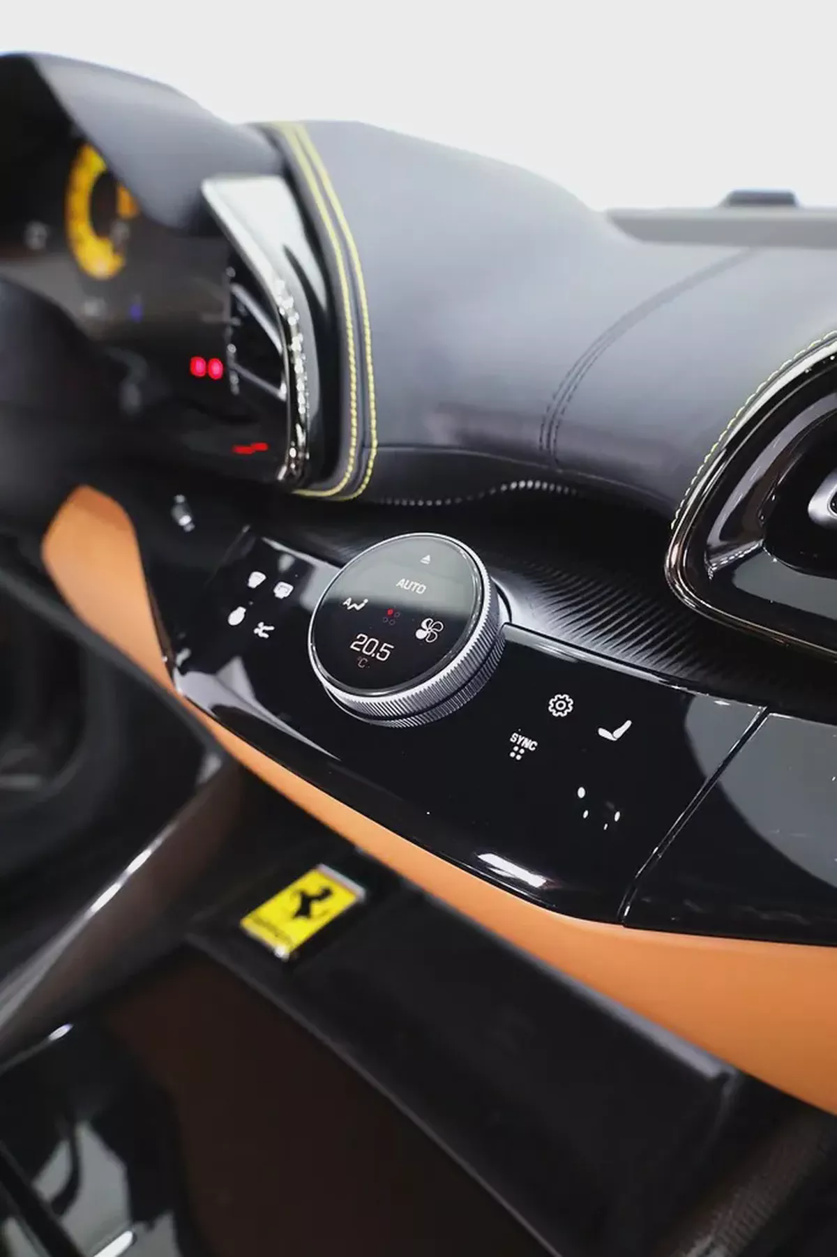 FERRARI PUROSANGUE - CARBON PACKAGE IN SPECIAL GRIGIO GRAY-6-6