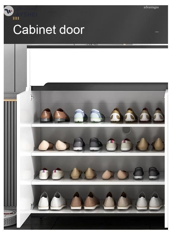 DubaiGallery Luxury Multifunctional Entryway Shoe Cabinet & Drawer Storage