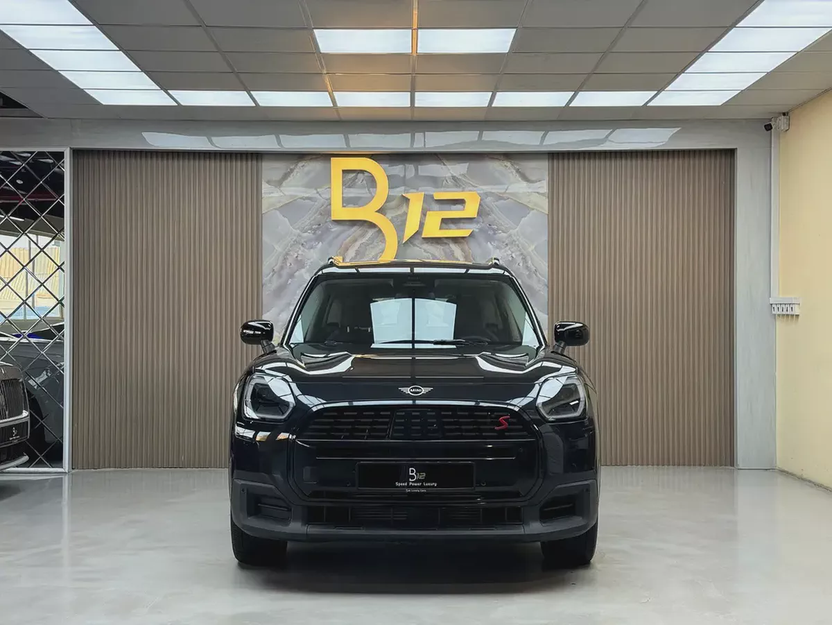 Mini Cooper Countryman 4All-3-3