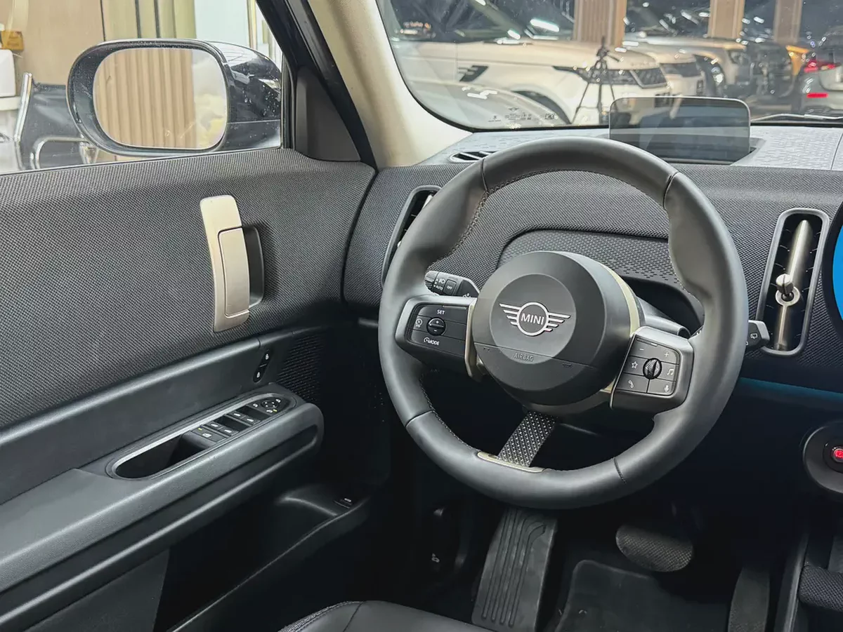 Mini Cooper Countryman 4All-8-8