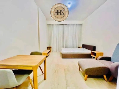 Fully furnished studio •• luxurious studio •• well maintained •• big terrace-0