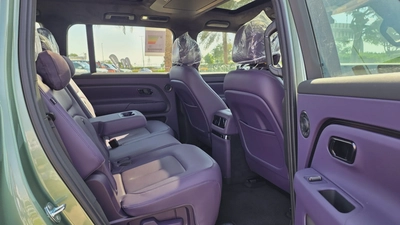 ROX ADAMAS (Green Purple)-19