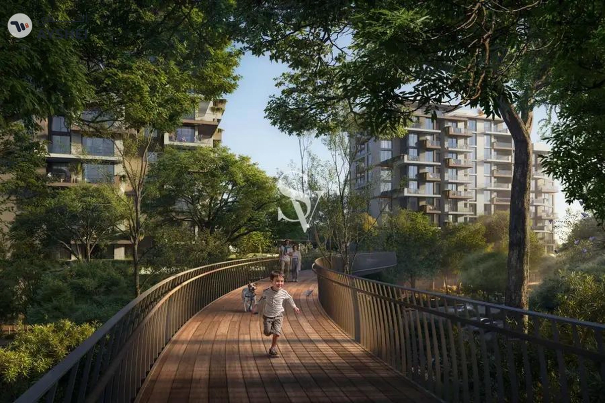 Lacina, Ghaf Woods, Dubailand, Dubai-10-10