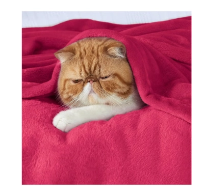 BSB HOME® 300 GSM Premium Plush Double Blanket for Bed, Sofa, Couch-6