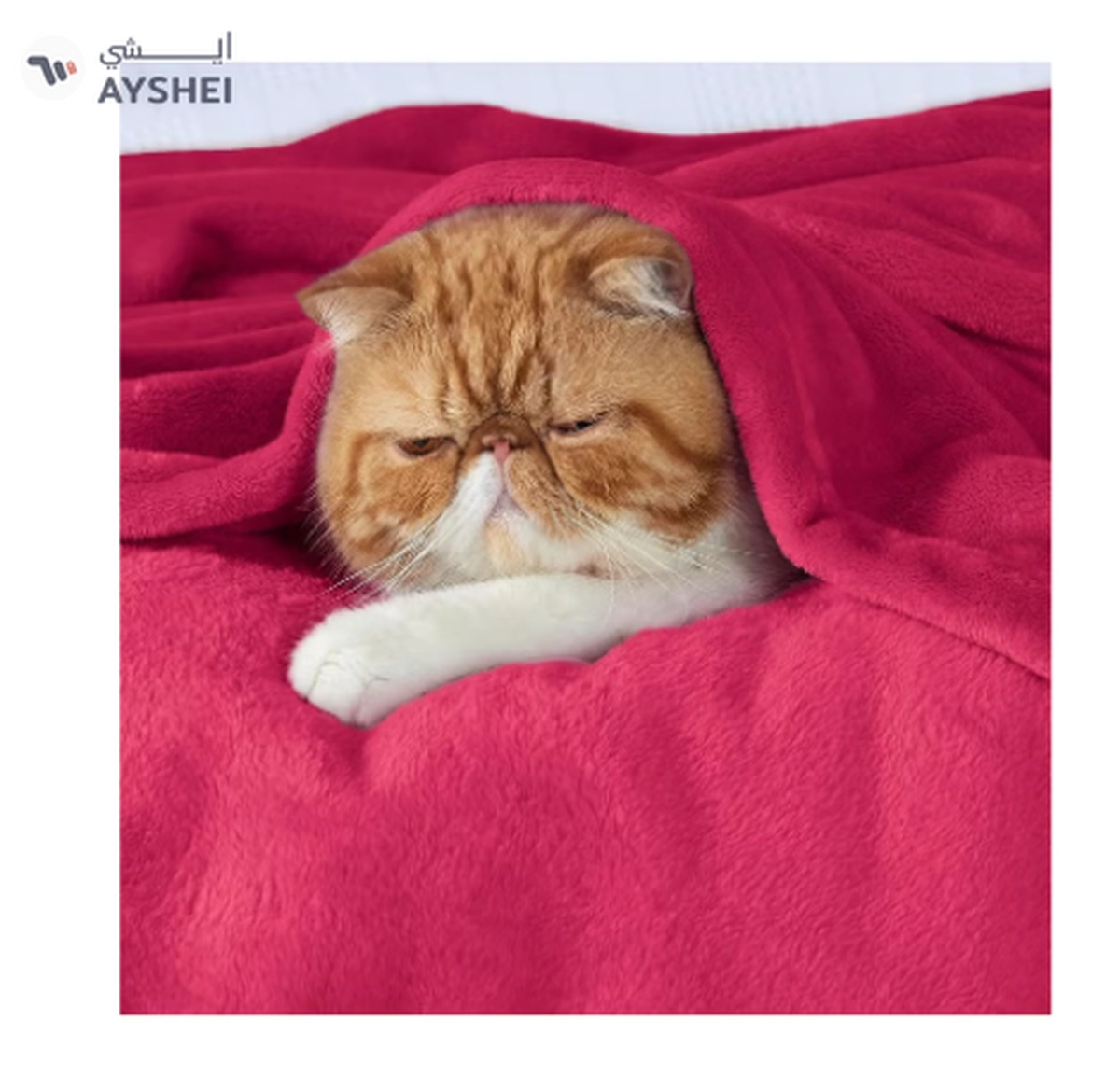 BSB HOME® 300 GSM Premium Plush Double Blanket for Bed, Sofa, Couch-6-6