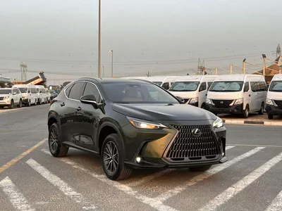 Lexus NX250 PREMIUM 2024 Lexus NX250 MidOption 2.5L V4 FWD- Rear Camera & Sensor - Leather Seat - Auto Trunk-0