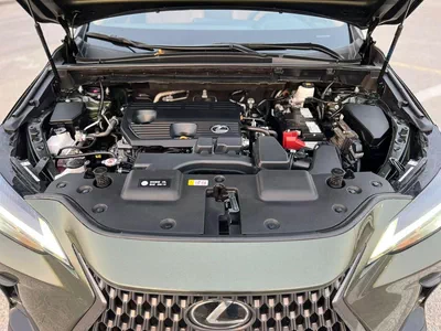 Lexus NX250 PREMIUM 2024 Lexus NX250 MidOption 2.5L V4 FWD- Rear Camera & Sensor - Leather Seat - Auto Trunk-19