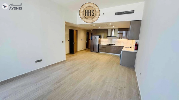 Spacious 3Bhk || Burj khalifa View || Chiller Free
