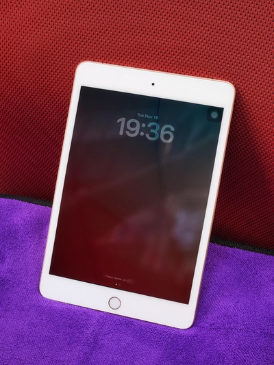 Apple iPad mini 5| 64 GB Storage-3
