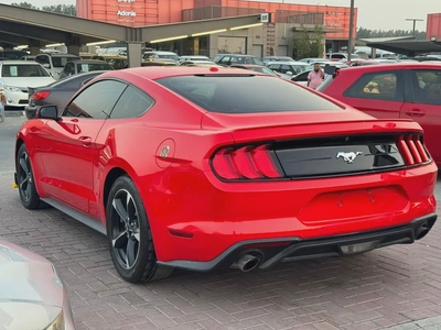 فورد موستنج 2019 ايكو بوست أوراق جمارك بحالة جيدة-4