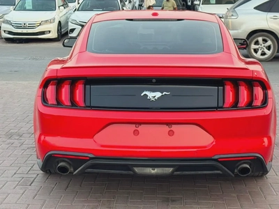فورد موستنج 2019 ايكو بوست أوراق جمارك بحالة جيدة-6