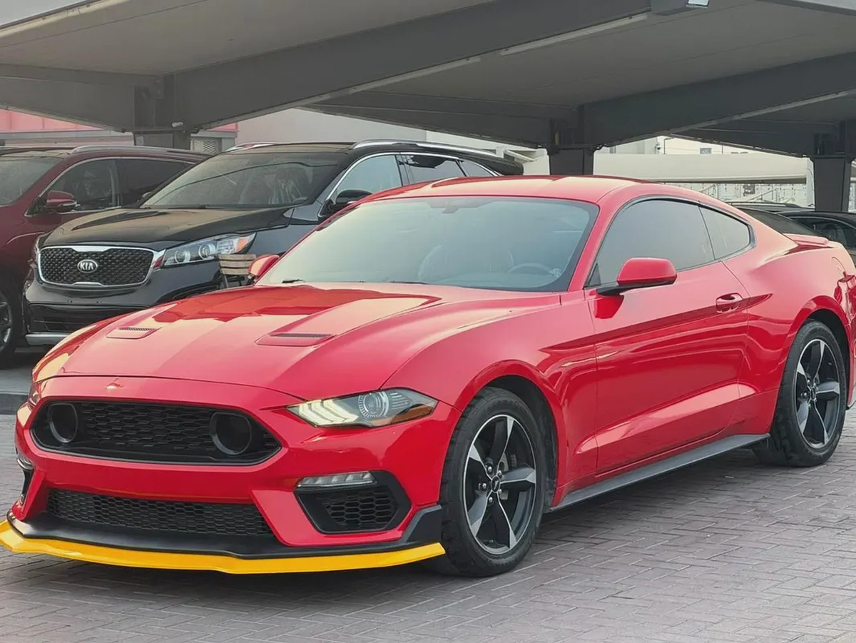 فورد موستنج 2019 ايكو بوست أوراق جمارك بحالة جيدة-3-3