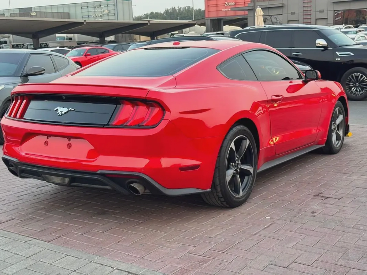 فورد موستنج 2019 ايكو بوست أوراق جمارك بحالة جيدة-5-5