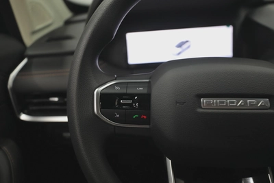 Geely RD6 Air-7