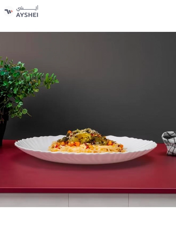 Delcasa DC3296 Opalware Flat Plate, 10.5-Inch Size, White