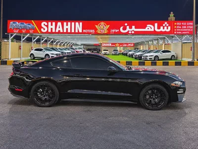 2019 Ford Mustang Ecoboost Premium | American Specs-4