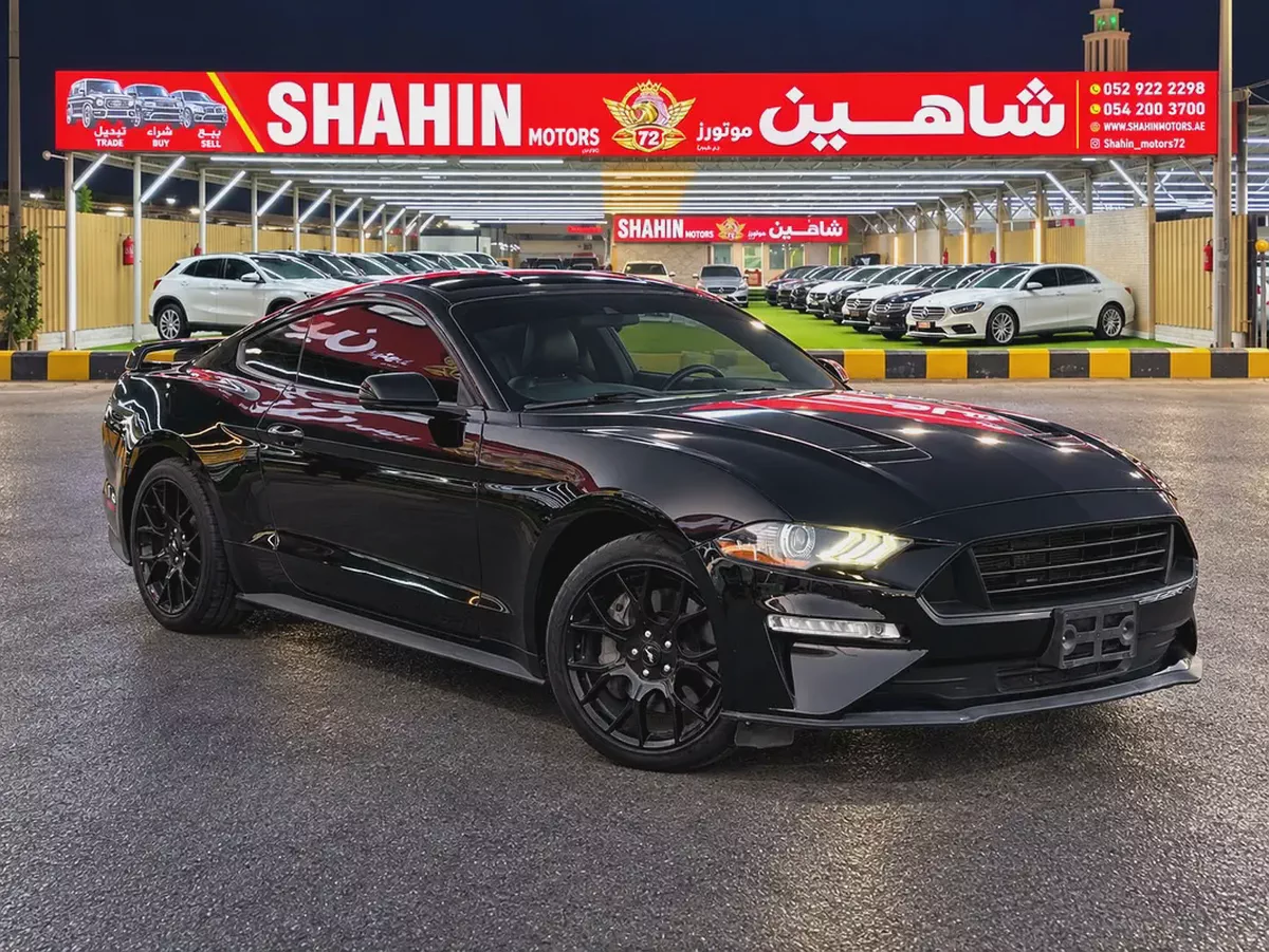 2019 Ford Mustang Ecoboost Premium | American Specs
