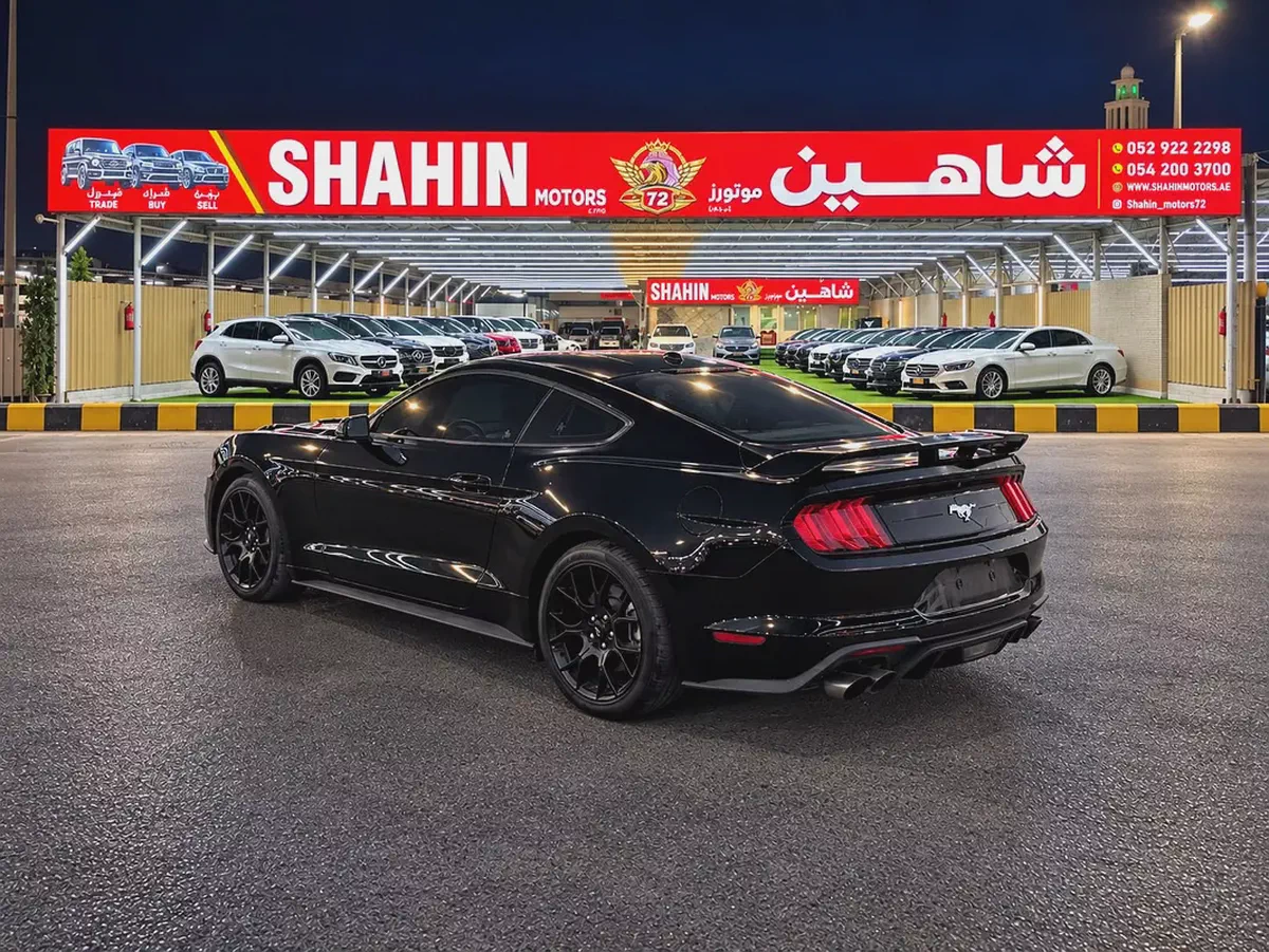 2019 Ford Mustang Ecoboost Premium | American Specs-3-3