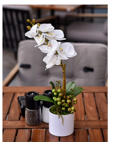 YATAI Real Touch Artificial Orchid Flowers In Plastic Pot With Moss Grass Arrangement-1
