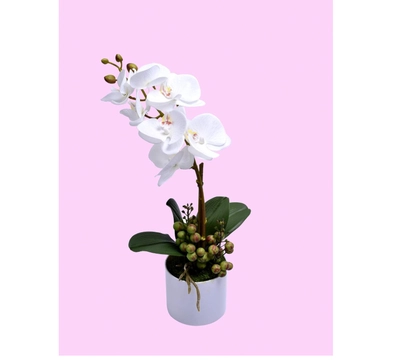 YATAI Real Touch Artificial Orchid Flowers In Plastic Pot With Moss Grass Arrangement-0