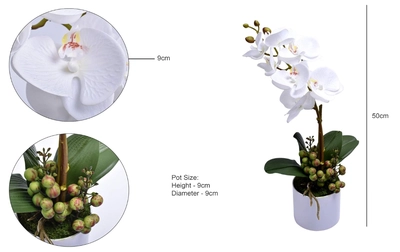 YATAI Real Touch Artificial Orchid Flowers In Plastic Pot With Moss Grass Arrangement-2