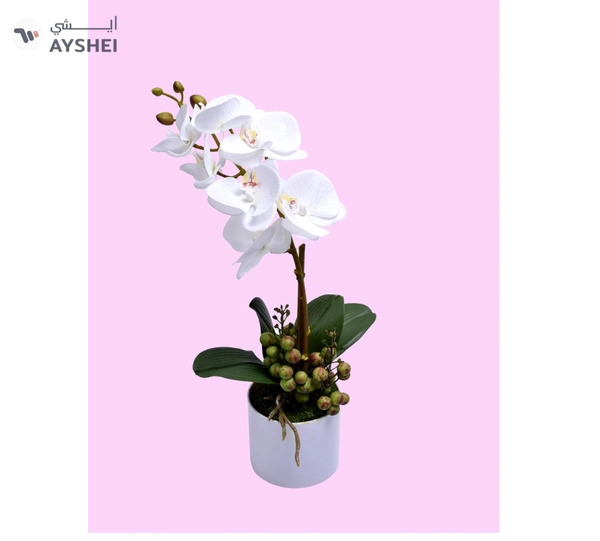 YATAI Real Touch Artificial Orchid Flowers In Plastic Pot With Moss Grass Arrangement