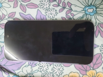 iPhone 16 Pro-0