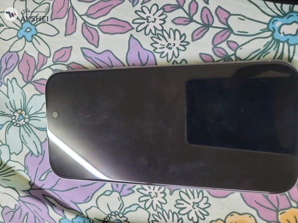 iPhone 16 Pro