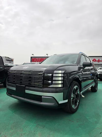 HYUNDAI PALISADE LUXURY GREY COLOR-0