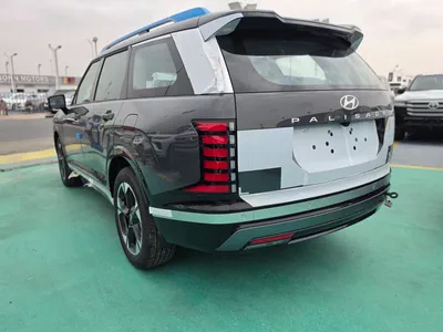 HYUNDAI PALISADE LUXURY GREY COLOR-5