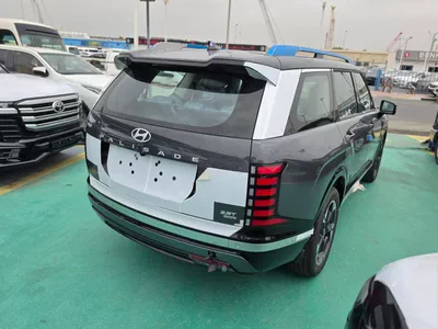 HYUNDAI PALISADE LUXURY GREY COLOR-6