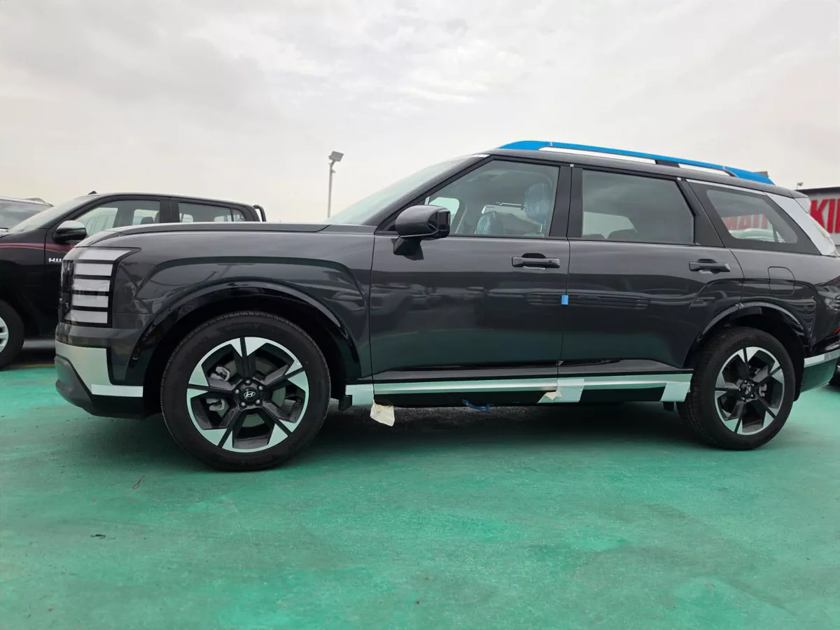 HYUNDAI PALISADE LUXURY GREY COLOR-2-2