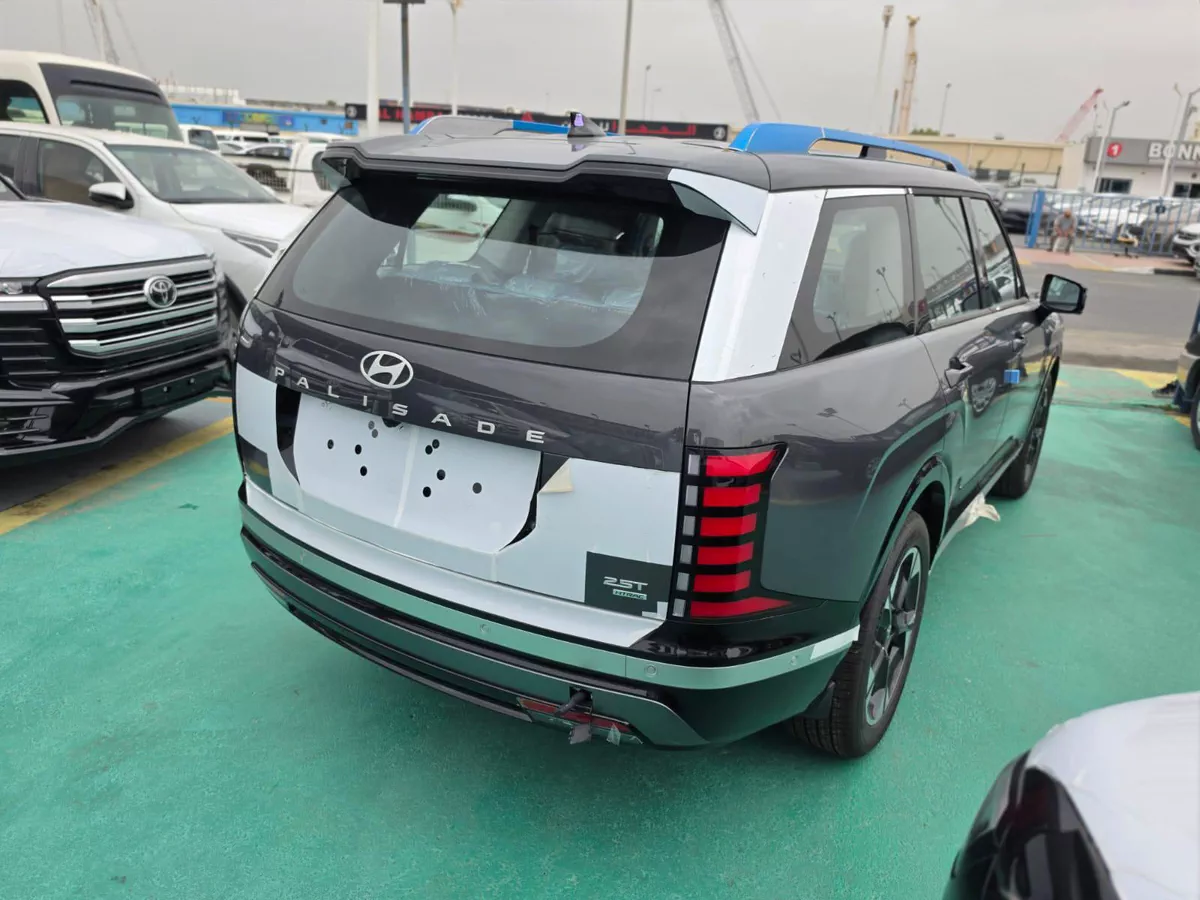 HYUNDAI PALISADE LUXURY GREY COLOR-6-6