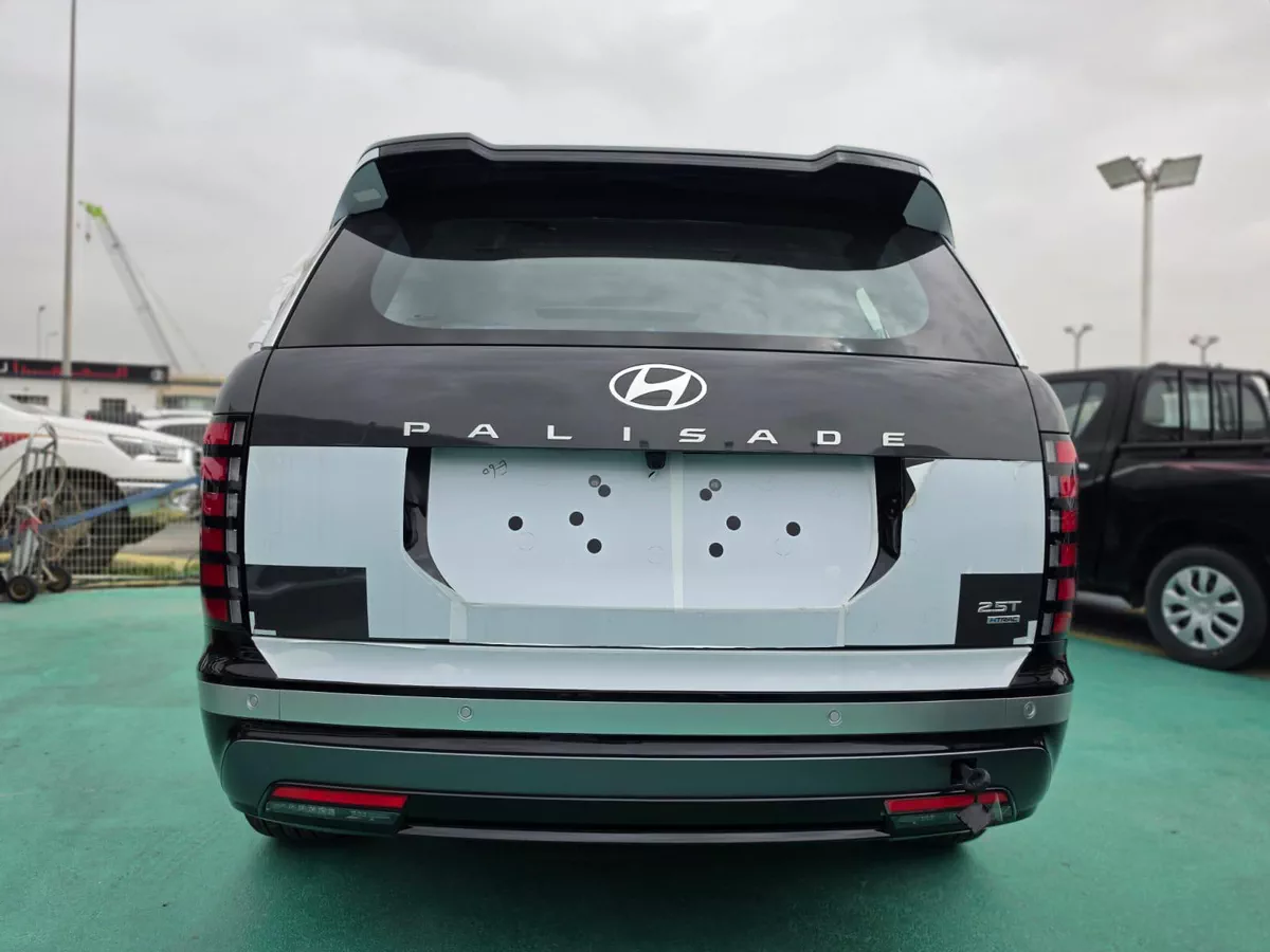 HYUNDAI PALISADE LUXURY GREY COLOR-8-8