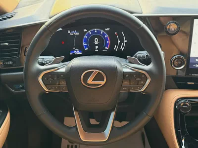 2024 Lexus NX 300 Platinum - GCC-13
