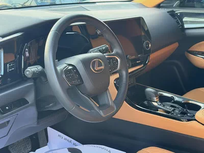 2024 Lexus NX 300 Platinum - GCC-14