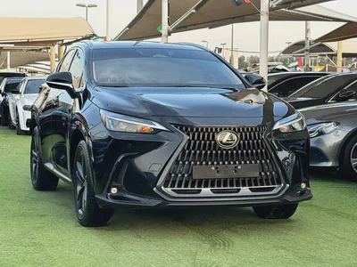 2024 Lexus NX 300 Platinum - GCC-1