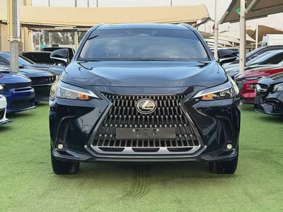 2024 Lexus NX 300 Platinum - GCC-2