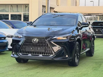 2024 Lexus NX 300 Platinum - GCC-3