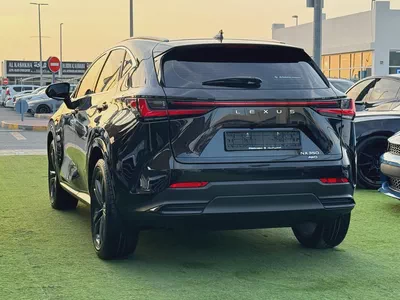 2024 Lexus NX 300 Platinum - GCC-4