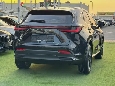 2024 Lexus NX 300 Platinum - GCC-6