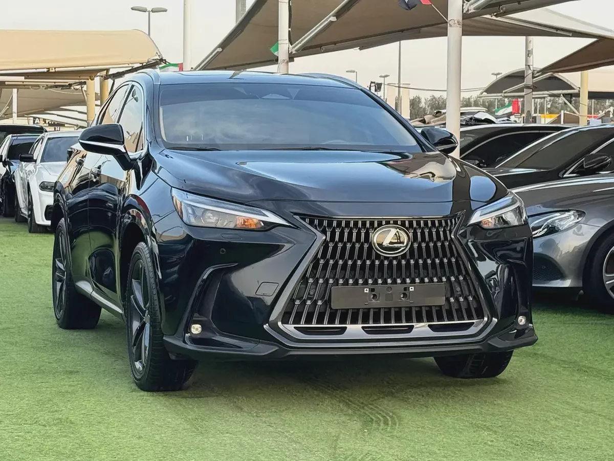 2024 Lexus NX 300 Platinum - GCC-1-1