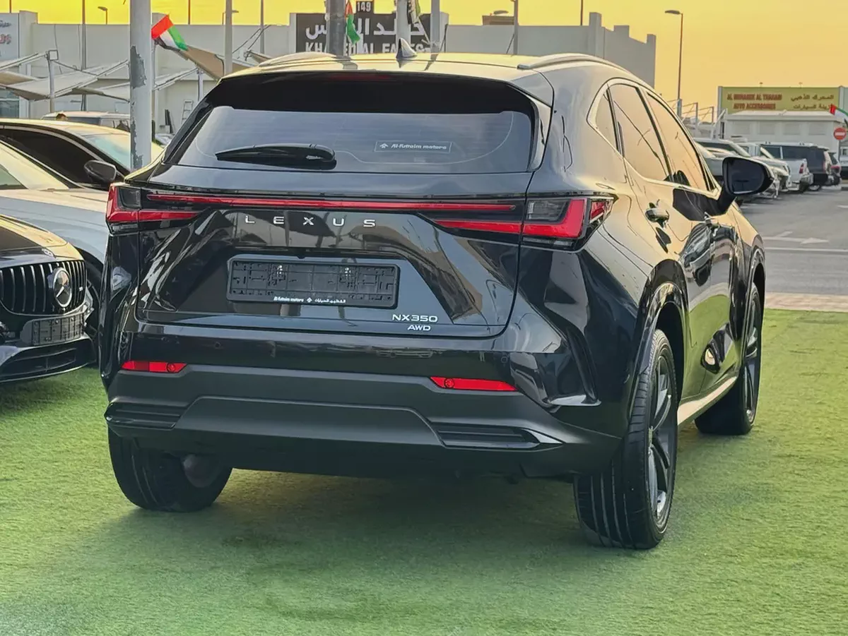 2024 Lexus NX 300 Platinum - GCC-6-6