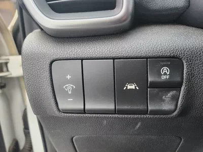 KIA THE BOLD SPORTAGE (D) 2.0 2WD Luxuary-11