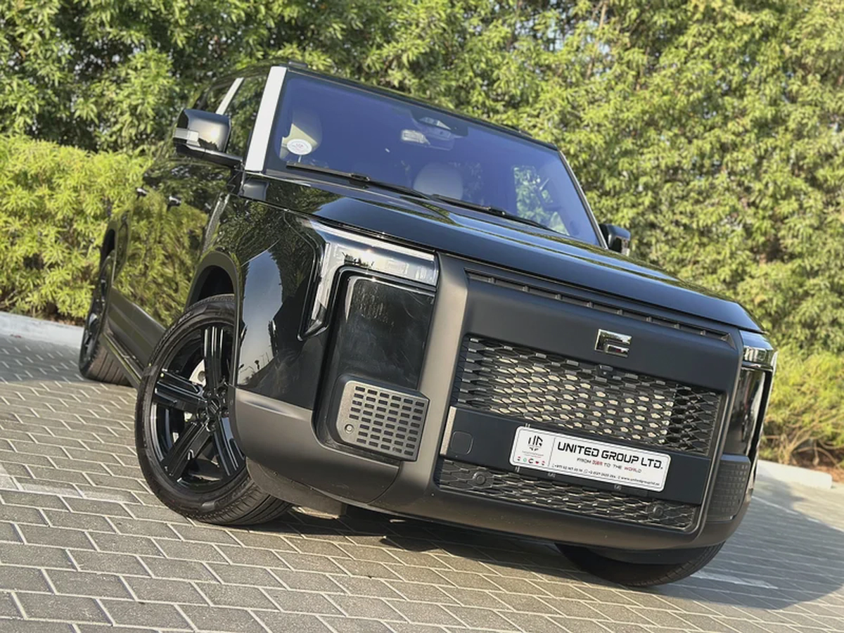 ROX 01 7 Seats / Export /  2025  /  HYBRID / Long-Range-3-3